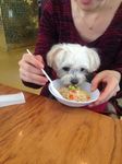 IMG_0235.jpg